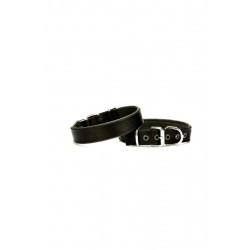 Doggie Comfort Köpek Boyun Tasma 3*55 cm Siyah