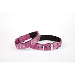 Doggie Çivi Desenli Köpek Tasması 2,5*60 cm Mor
