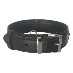 Markapet Deri Parlak Taşlı Köpek Boyun Tasması 38-43 cm Small Siyah
